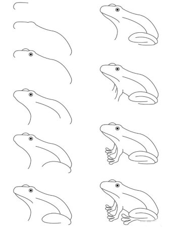 Тигр рисунок поэтапно