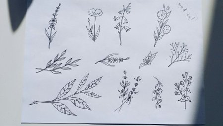 Поэтапное рисование розы