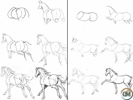 Поэтапное рисование коровы