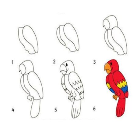 Последовательное рисование птицы