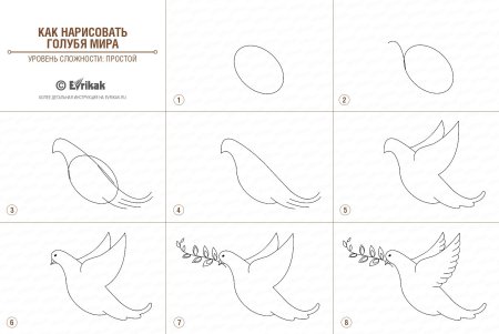Голубь рисунок поэтапно