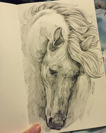 Рисование в скетчбуке животных