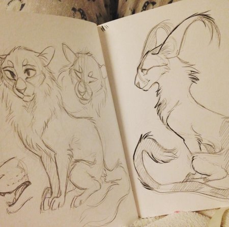 Скетчбук для рисования животных