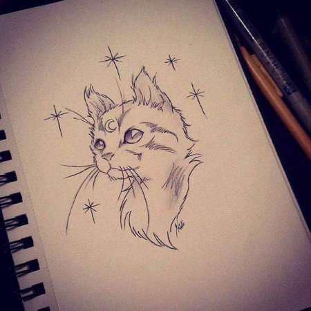 Рисунки карандашом для скетчбука животные