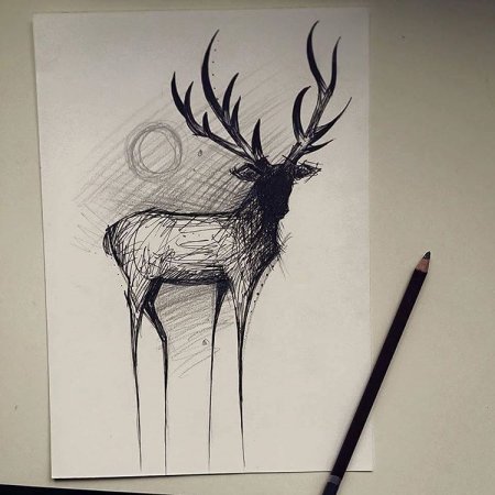 Олень черной ручкой