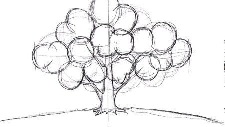 Поэтапное рисование дерева