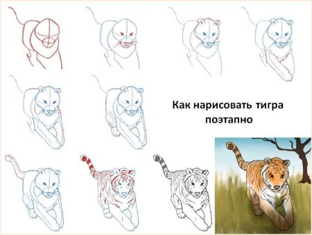Поэтапное рисование тигра