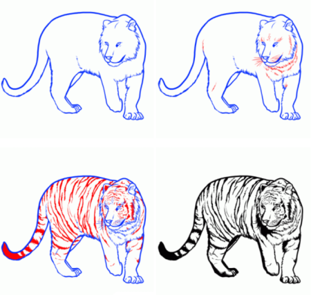 Рисунок тигра пошагово