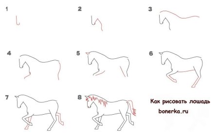 Этапы рисования коня для детей