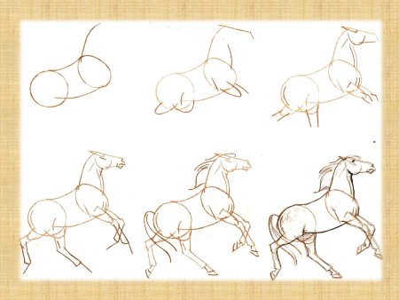 Конь вид сбоку рисунок