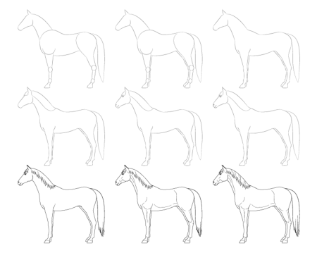 Как нарисовать лошадь поэтапно