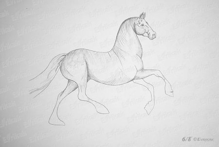 Поэтапное рисование лошади на дыбах
