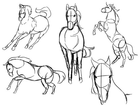 Поэтапное рисование карандашом