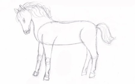 Этапы рисования лошади для детей