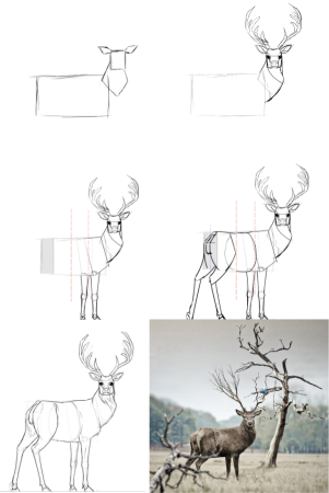 Как нарисовать оленя поэтапно