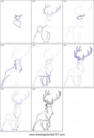 Пошаговое рисование оленя