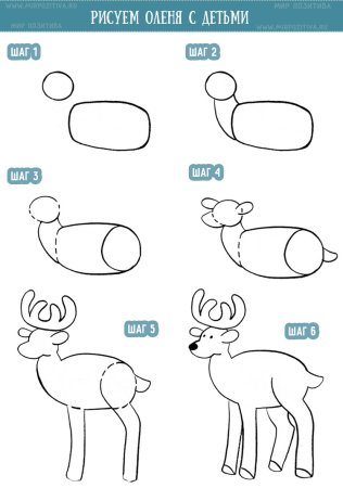 Поэтапное рисование оленя