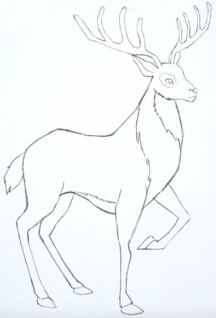 Рисование оленя поэтапно