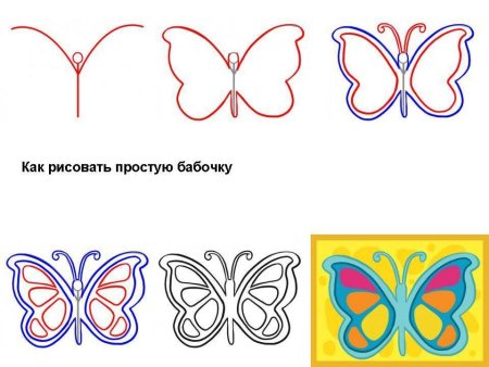 Поэтапное рисование бабочки