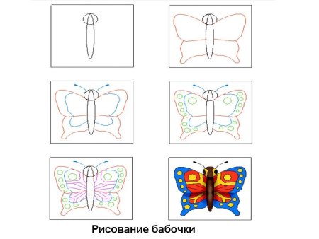 Как нарисовать бабочку пошагово