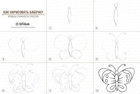 Рисование бабочки поэтапно