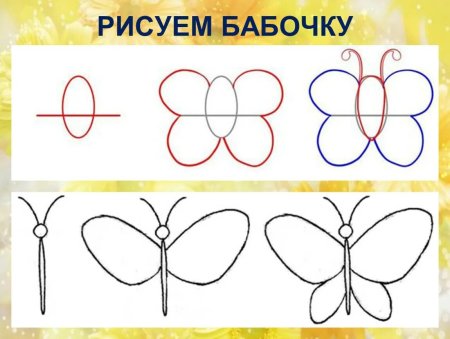 Этапы рисования бабочки для детей