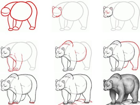 Как нарисовать медведя