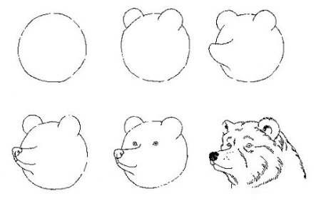 Рисование морды медведя