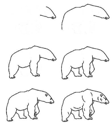 Поэтапное рисование медведя