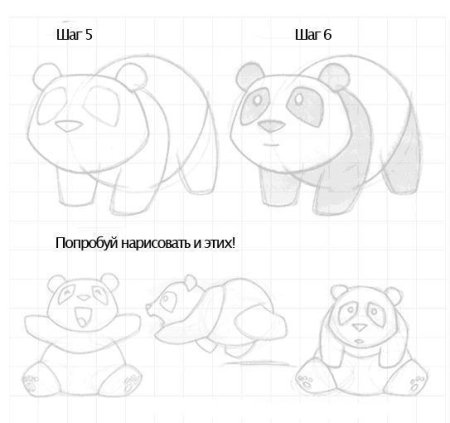 Панда рисунок для детей карандашом
