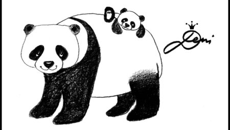 Рисунки панды легкие