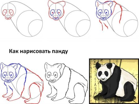 Панда рисунок по этапно