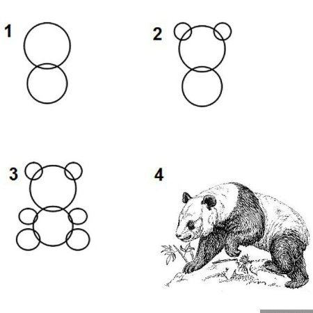 Лёгкие рисунки панды