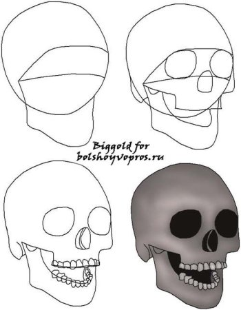 Череп рисунок поэтапно