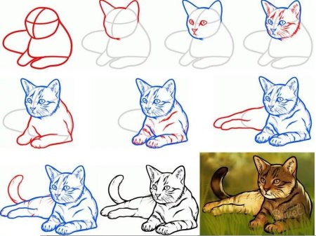 Пошаговый рисунок кошки