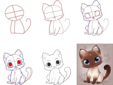 Этапы рисования кошки