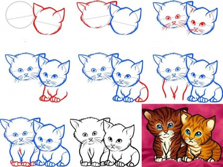 Кот поэтапно карандашом для начинающих