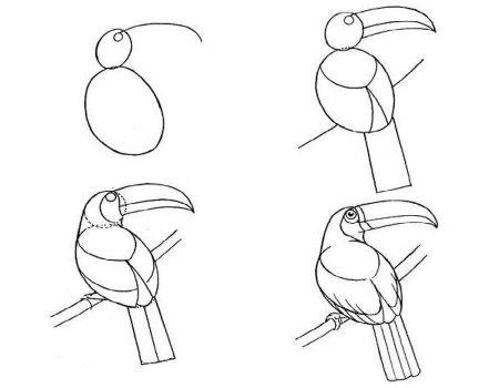 Роза рисунок пошагово