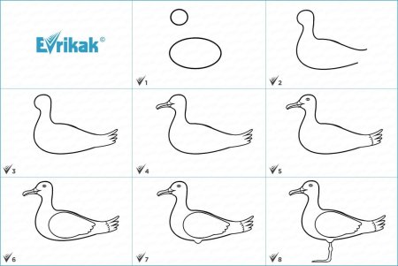 Поэтапное рисование для детей