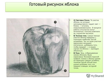 Поэтапное рисование овощей