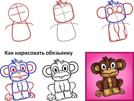 Как нарисовать обезьянку