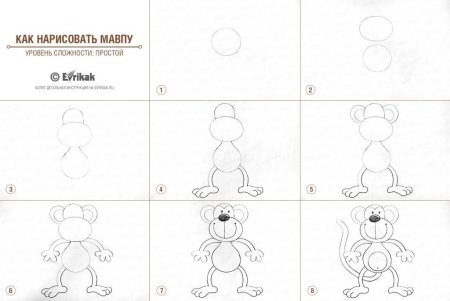 Поэтапное рисование обезьяны