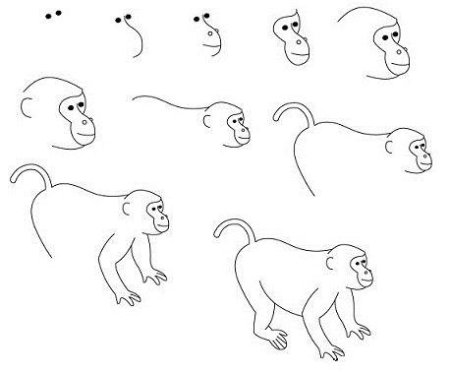 Поэтапное рисование обезьяны