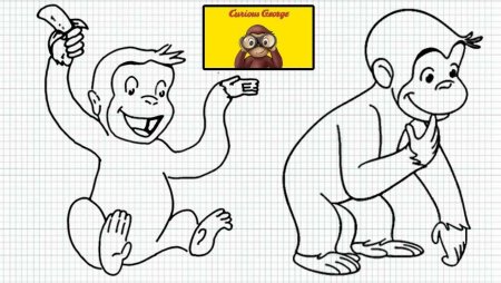 Поэтапное рисование обезьяны