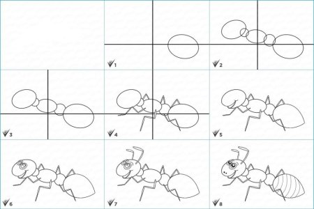 Поэтапное рисование натюрморта карандашом