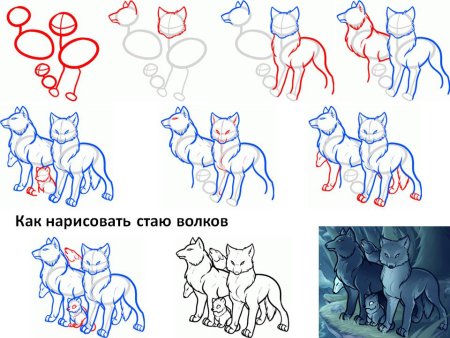Рисование волка пошагово