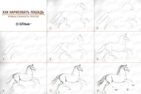 Поэтапное рисование лошади для детей