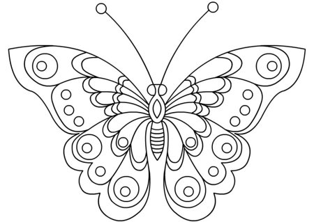 Бабочка рисунок