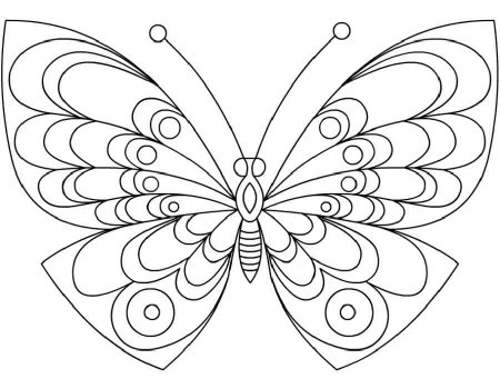 Картинка бабочка раскраска