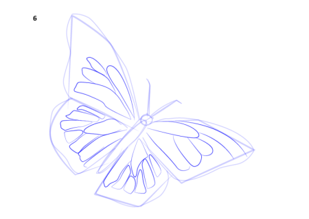 Рисунки бабочек для срисовки